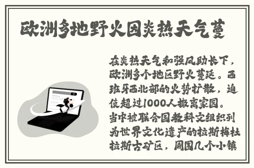 91精品视频在线免费观看